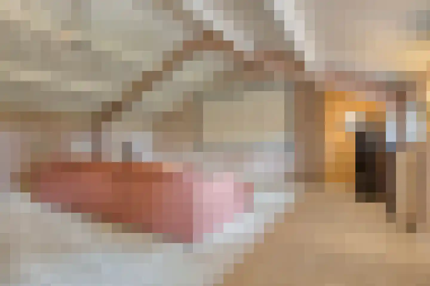 Beemstraat 44 Gameren thumbnail 53