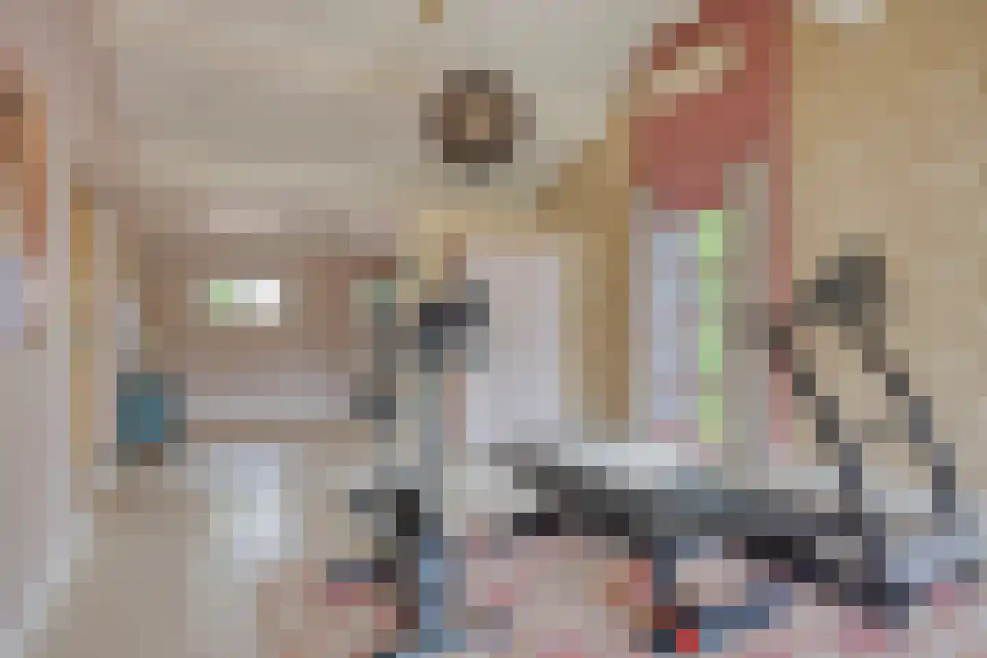 Beemstraat 44 Gameren thumbnail 56
