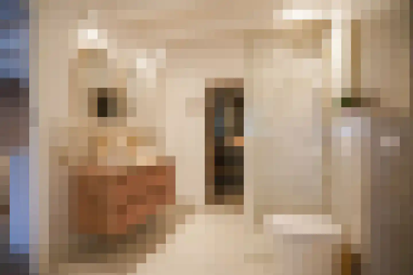 Beemstraat 44 Gameren thumbnail 57
