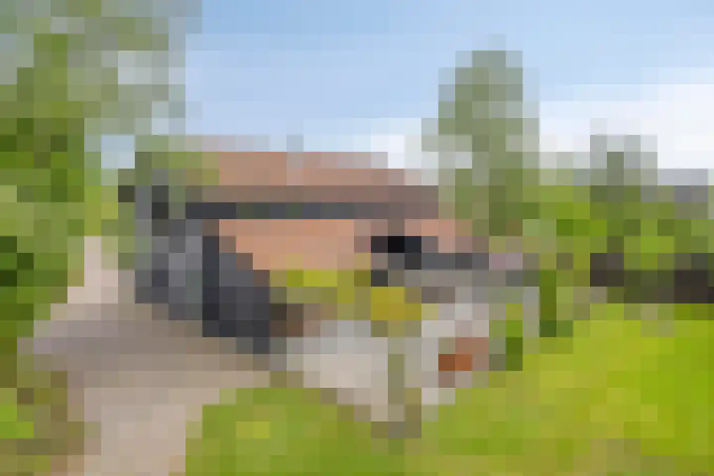 Beemstraat 44 Gameren thumbnail 58