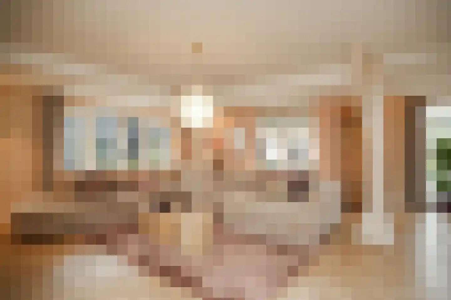 Beemstraat 44 Gameren thumbnail 6