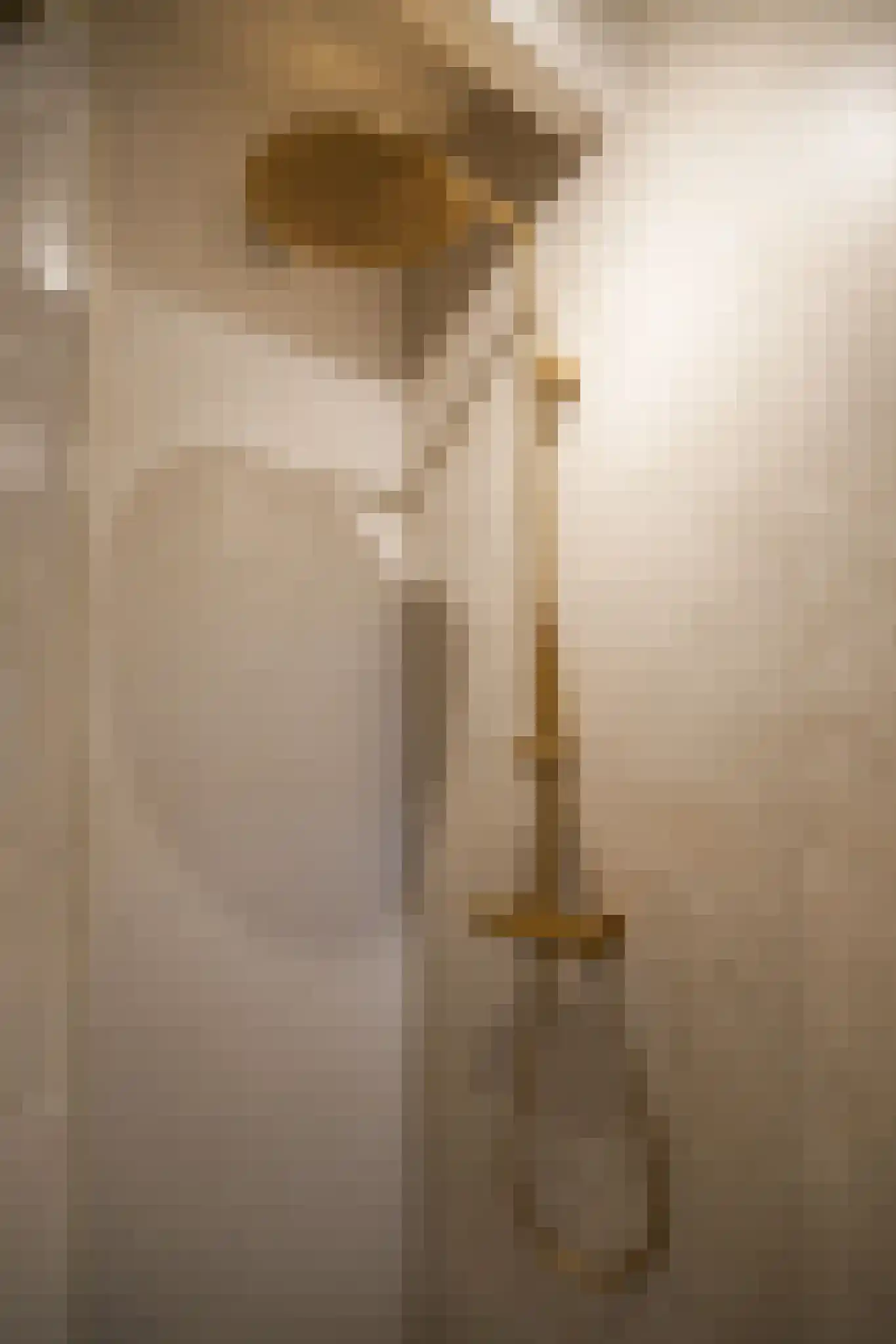 Beemstraat 44 Gameren thumbnail 61