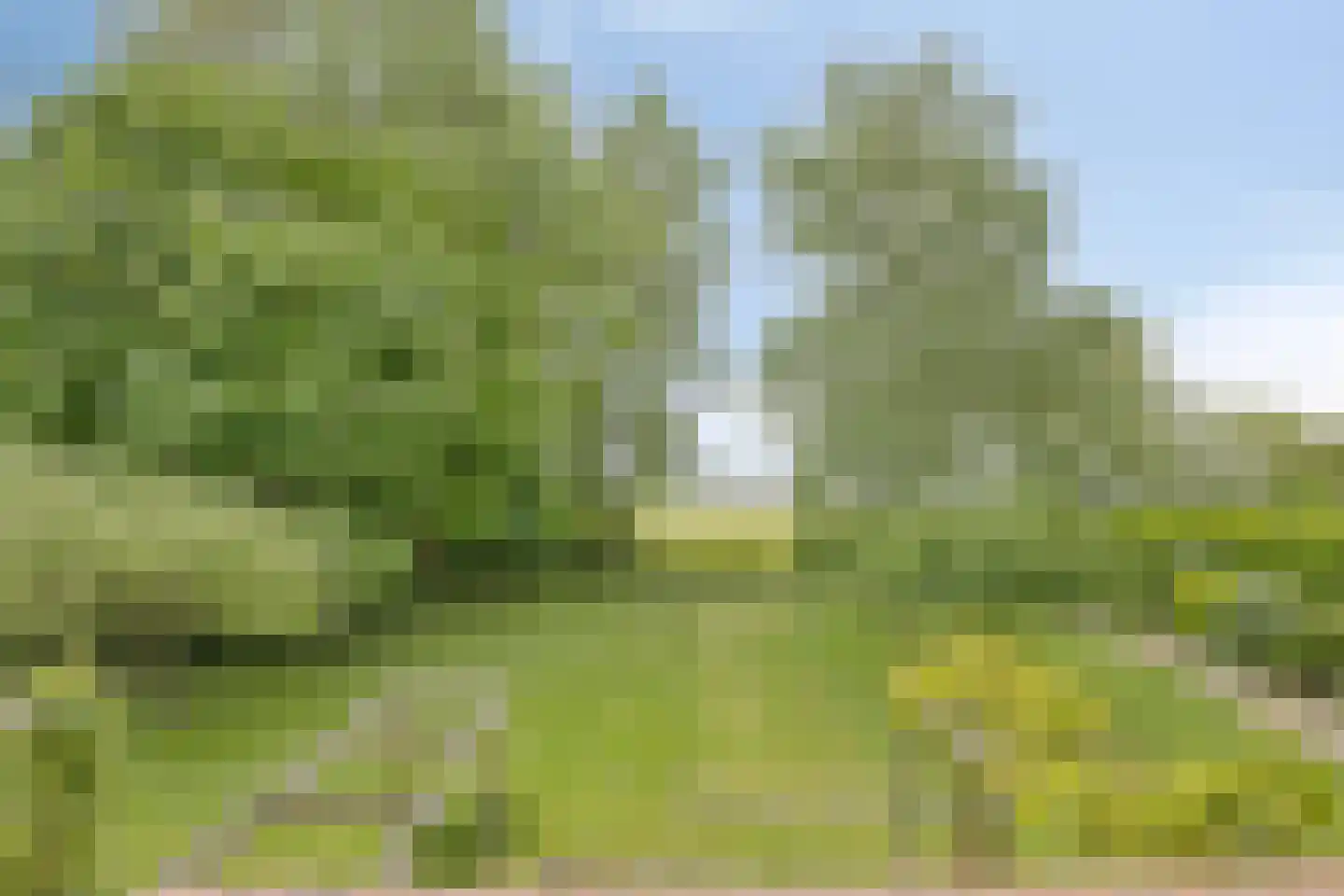 Beemstraat 44 Gameren thumbnail 64
