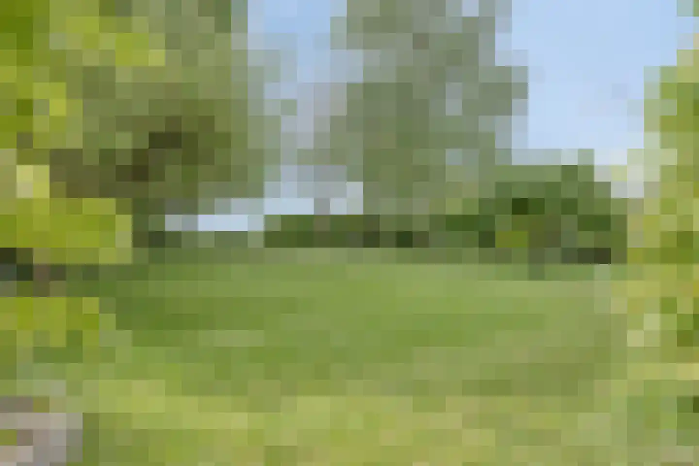 Beemstraat 44 Gameren thumbnail 65