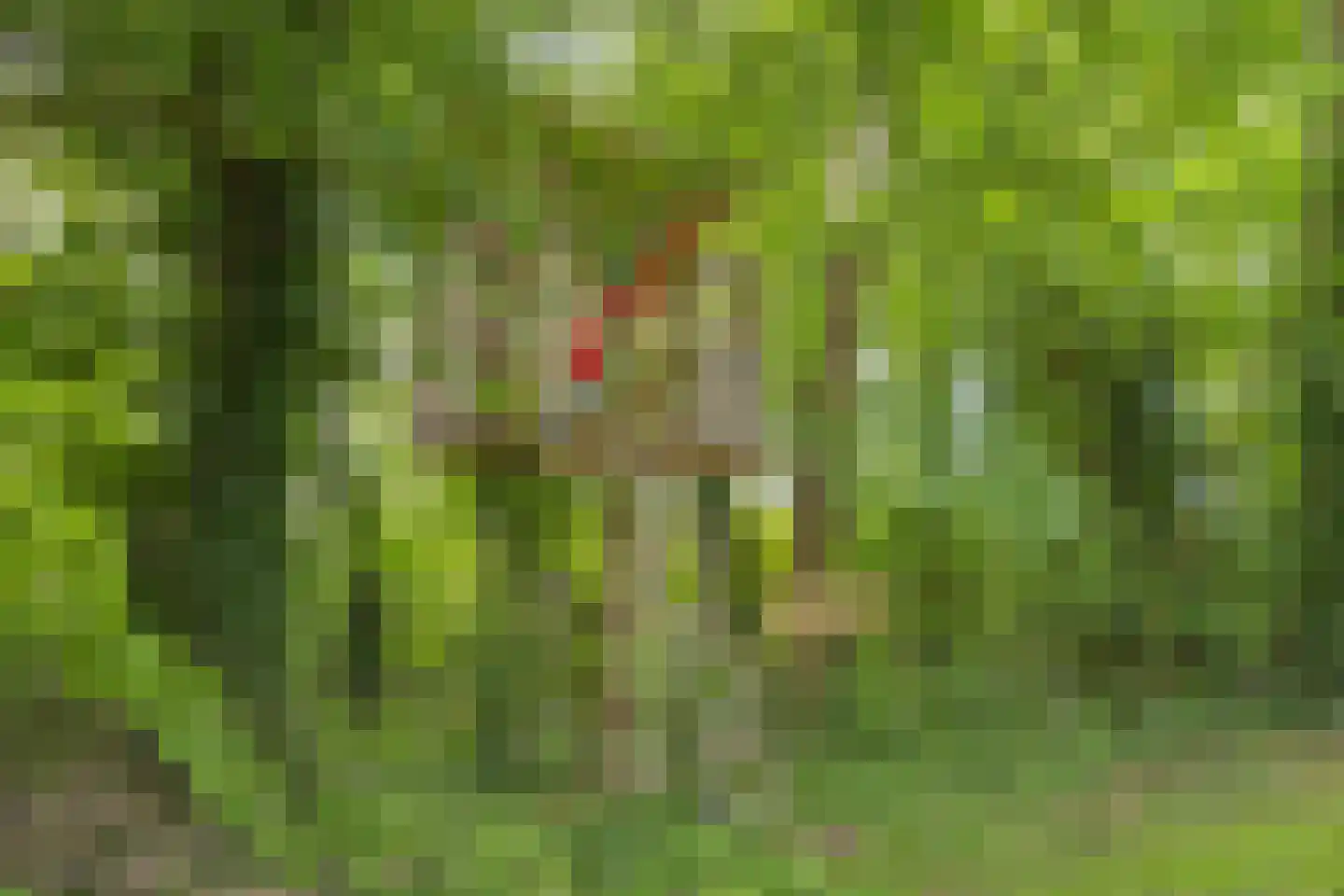 Beemstraat 44 Gameren thumbnail 66