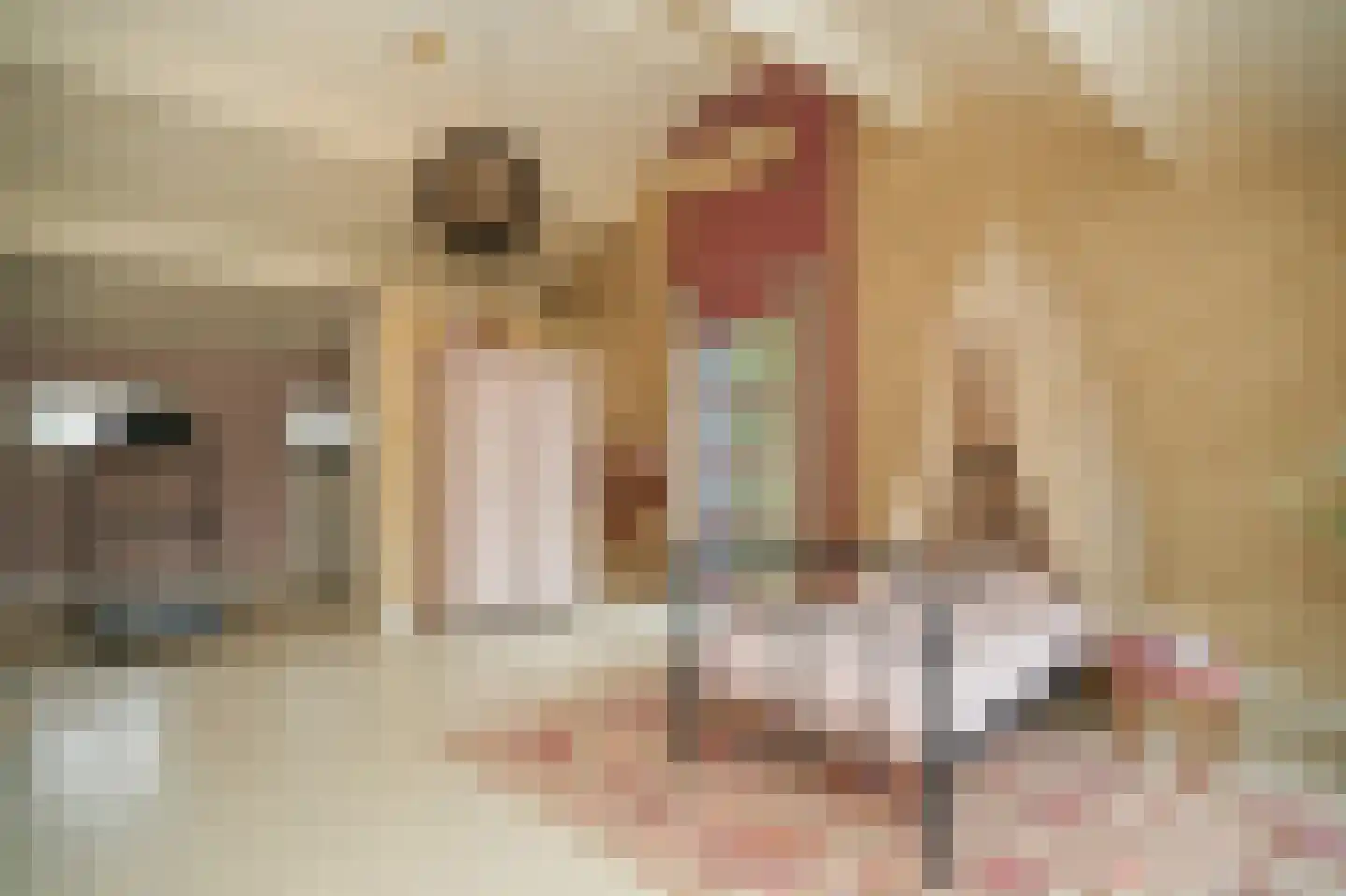 Beemstraat 44 Gameren thumbnail 66