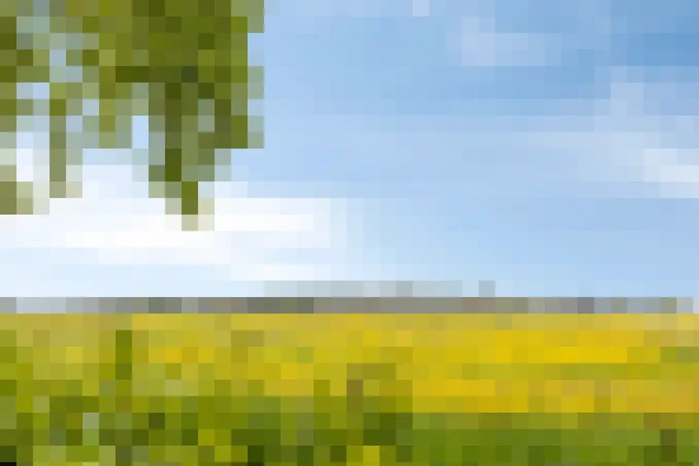 Beemstraat 44 Gameren thumbnail 67