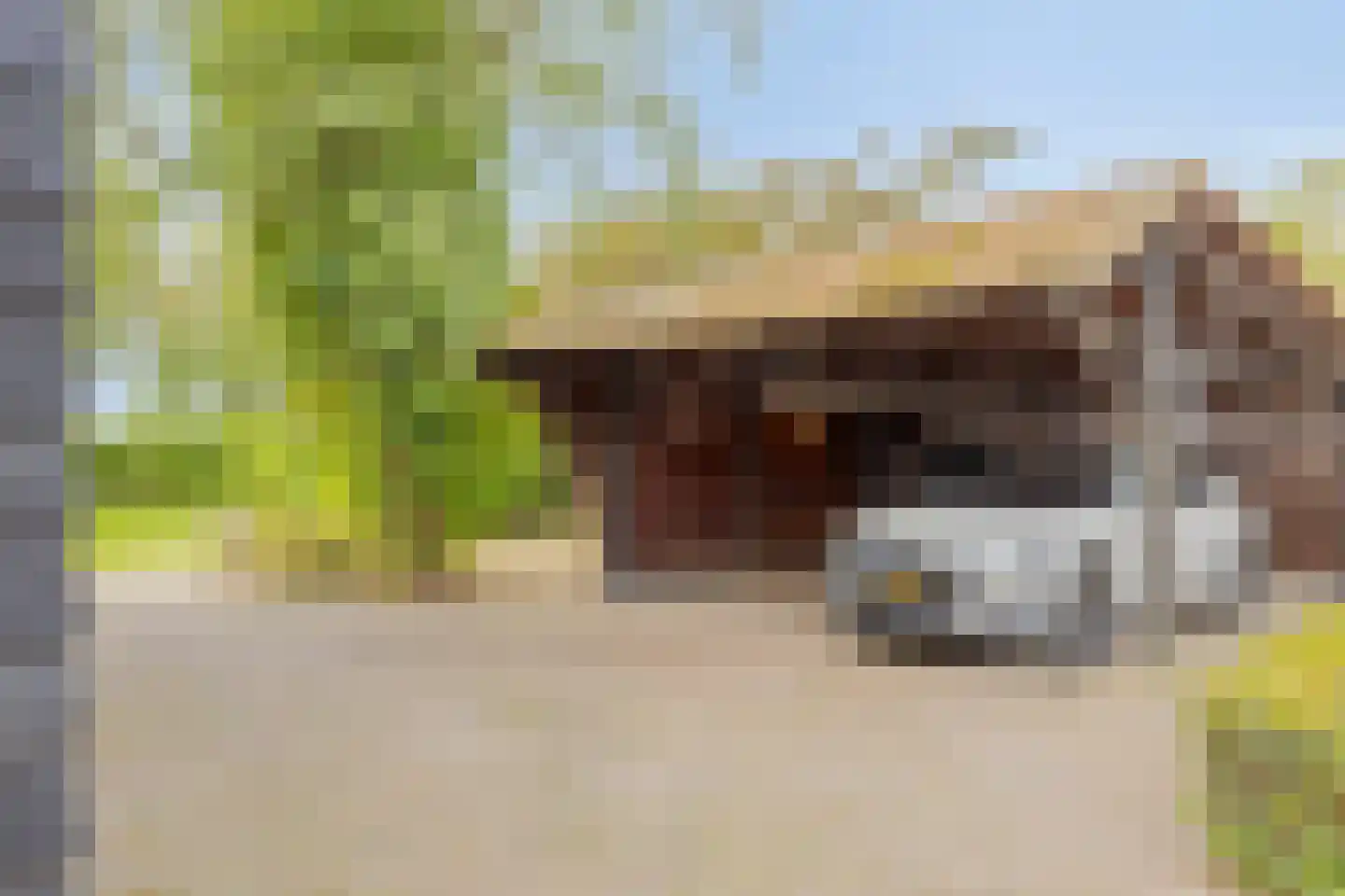 Beemstraat 44 Gameren thumbnail 69