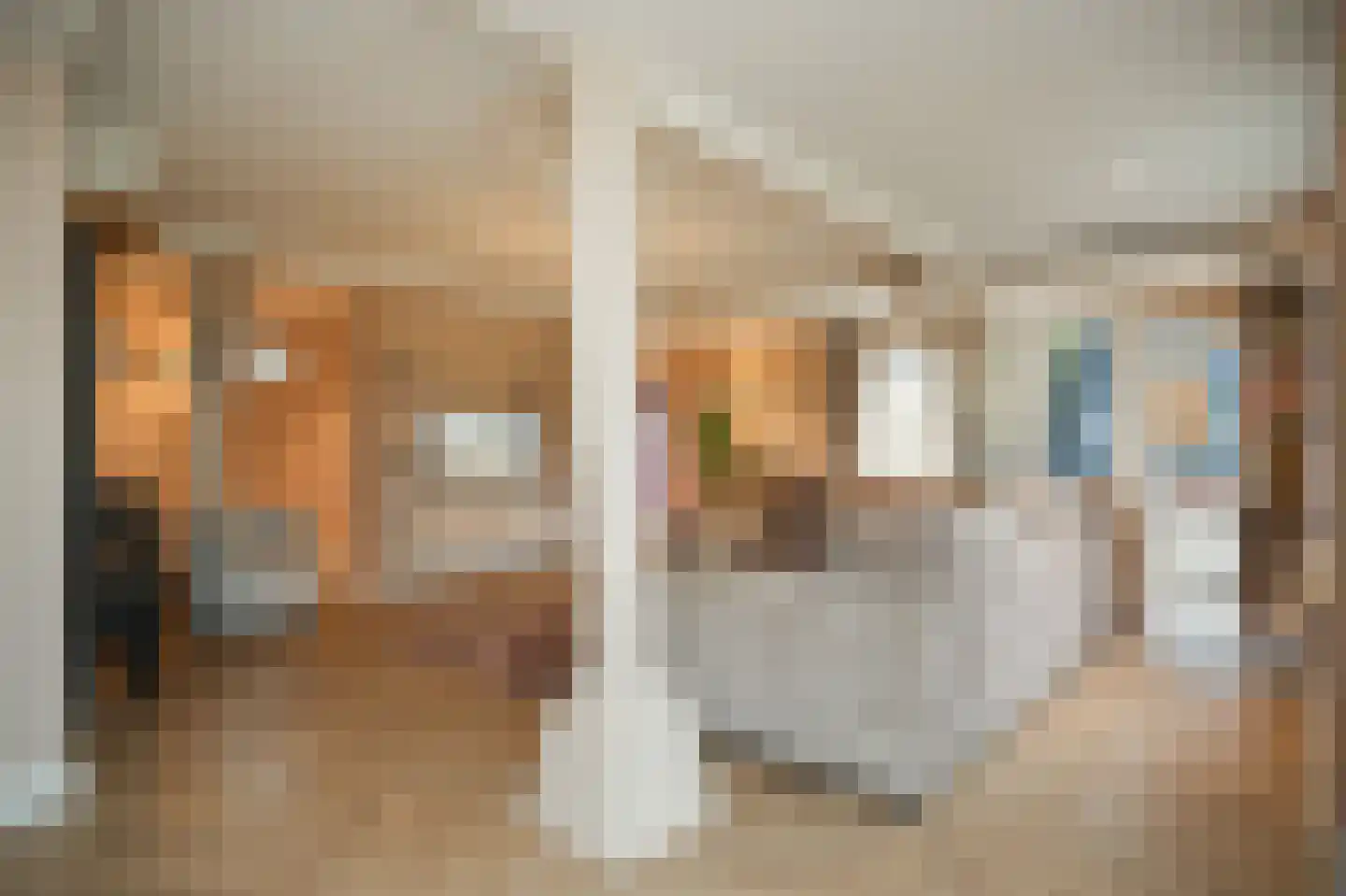 Beemstraat 44 Gameren thumbnail 7