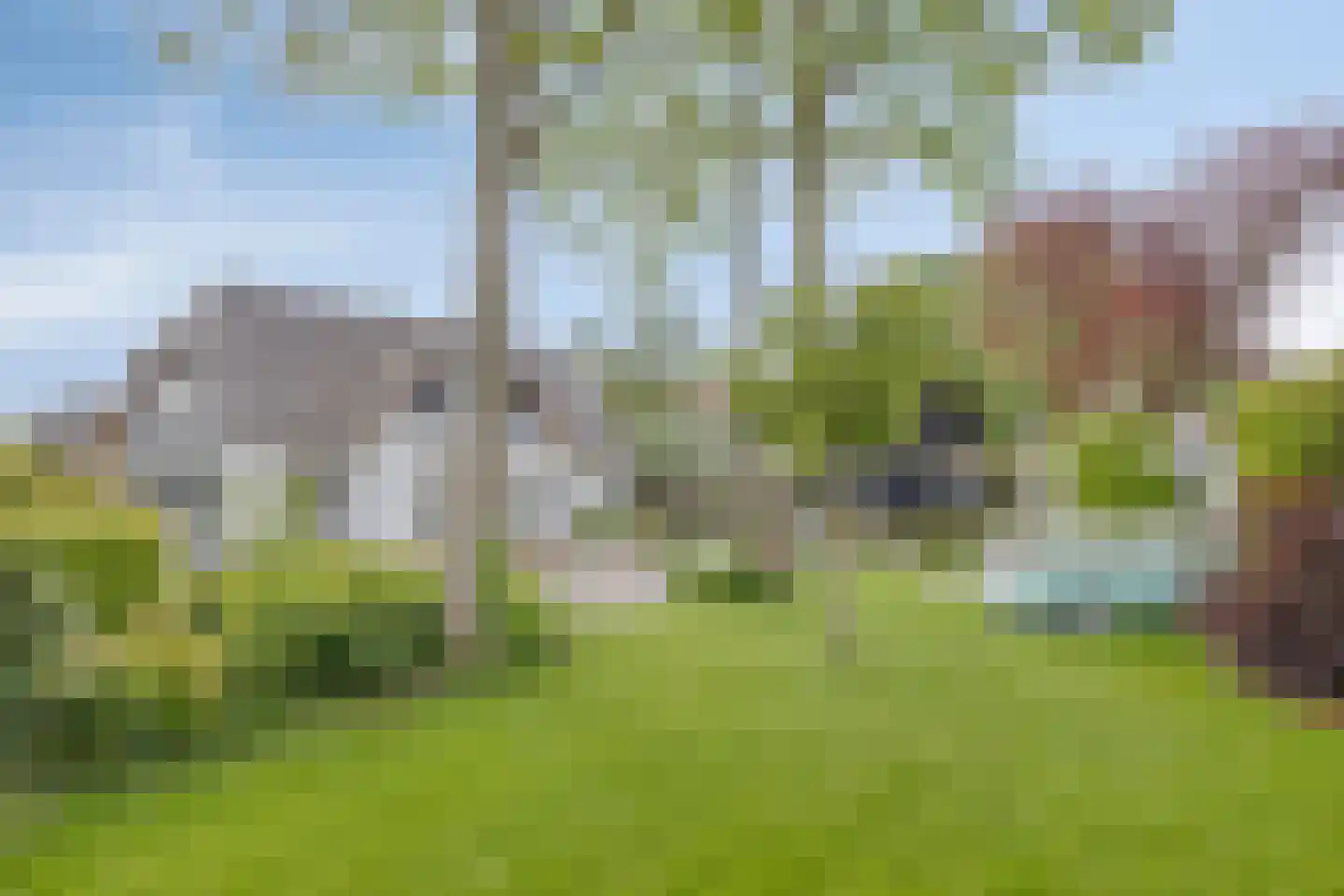 Beemstraat 44 Gameren thumbnail 71