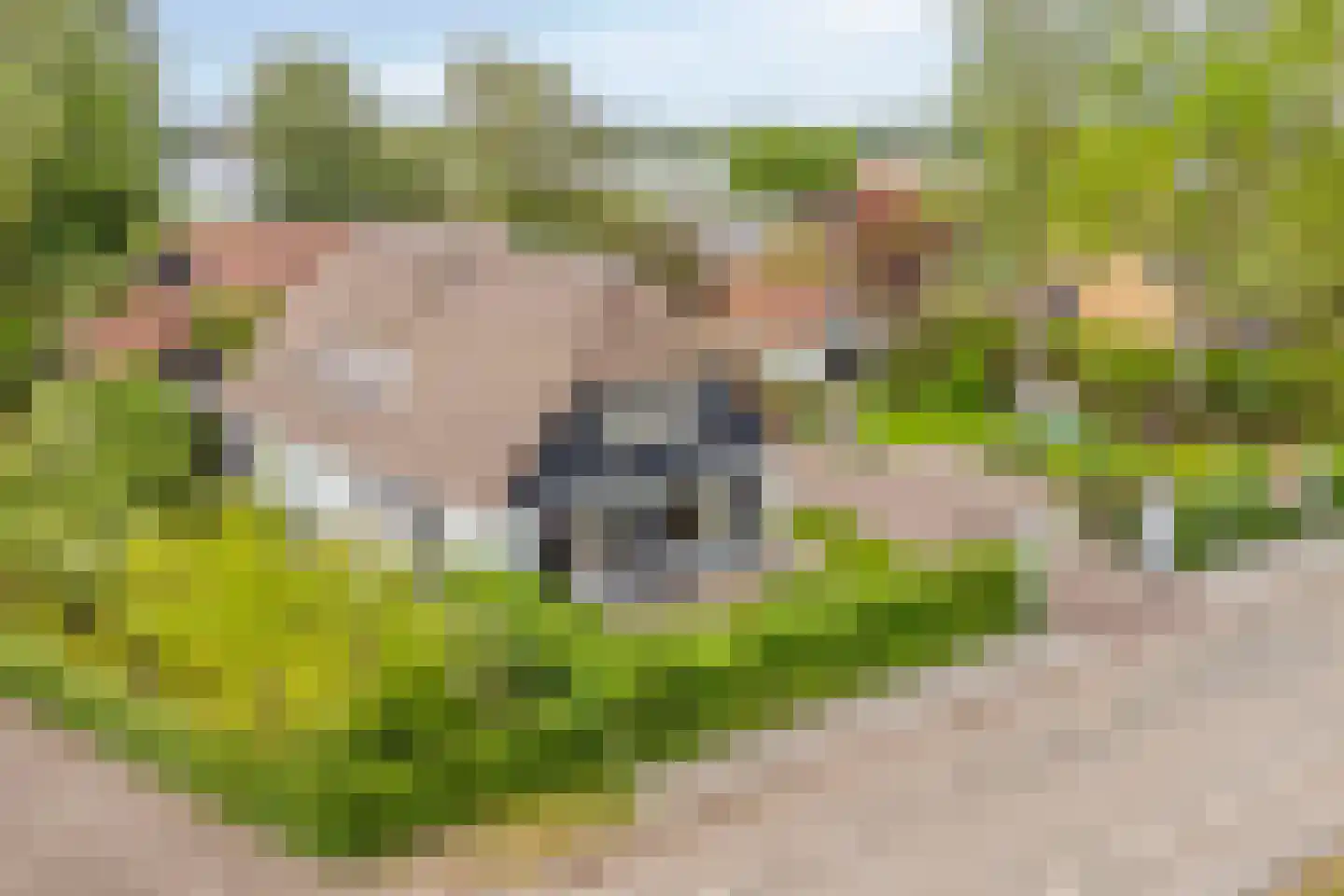 Beemstraat 44 Gameren thumbnail 73