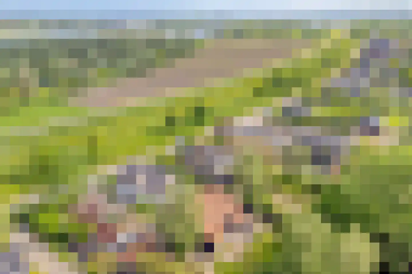 Beemstraat 44 Gameren thumbnail 74