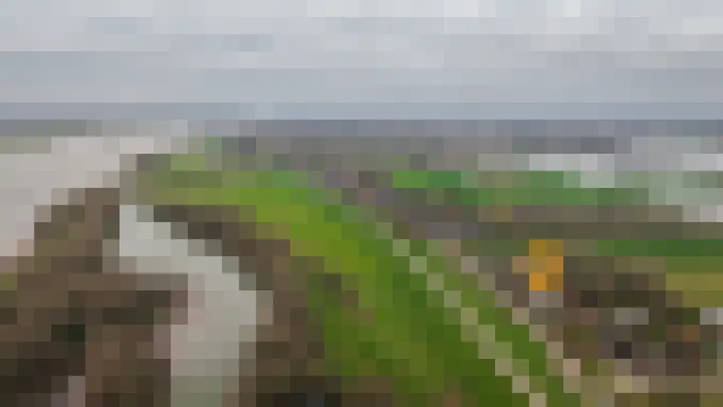 Beemstraat 44 Gameren thumbnail 91