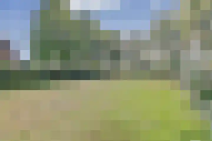 Beemstraat 46 Gameren thumbnail 10