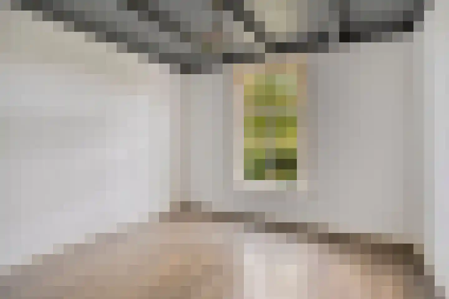 Beemstraat 46 Gameren thumbnail 12