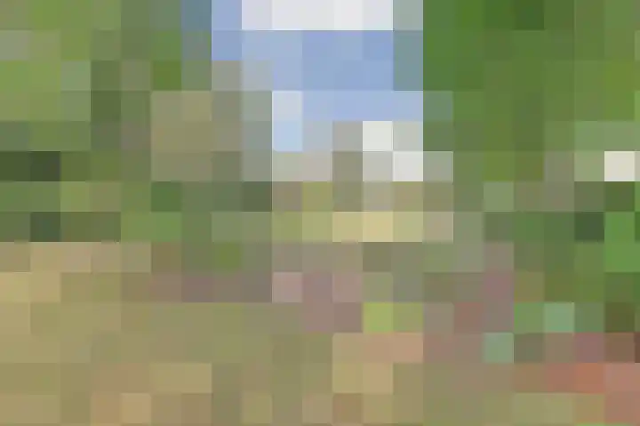 Beemstraat 46 Gameren thumbnail 12