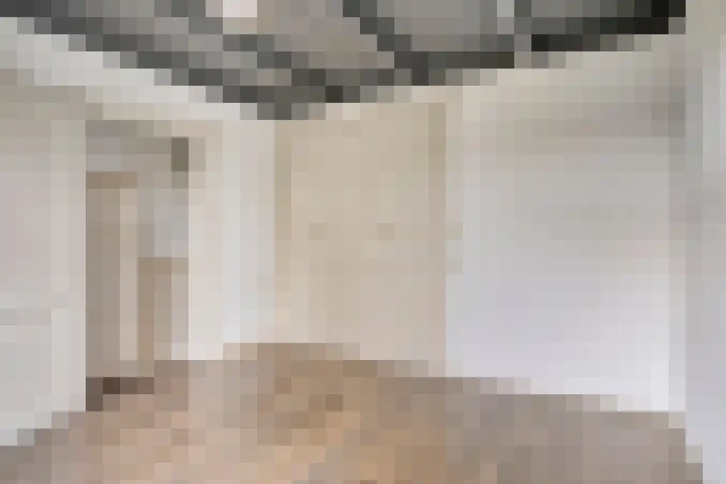 Beemstraat 46 Gameren thumbnail 13