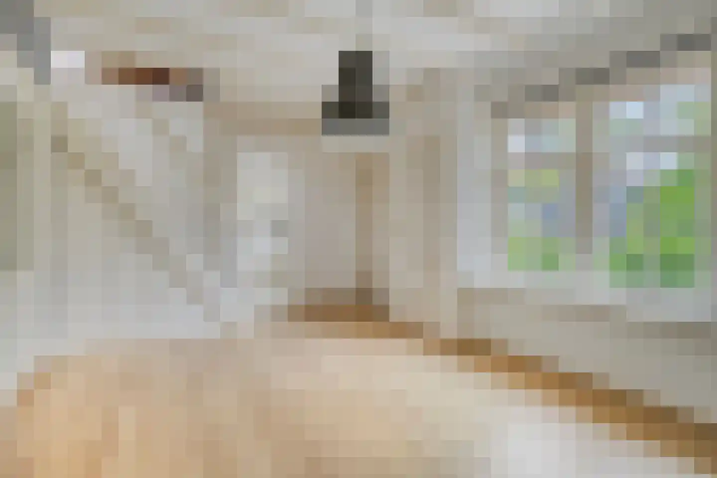 Beemstraat 46 Gameren thumbnail 14