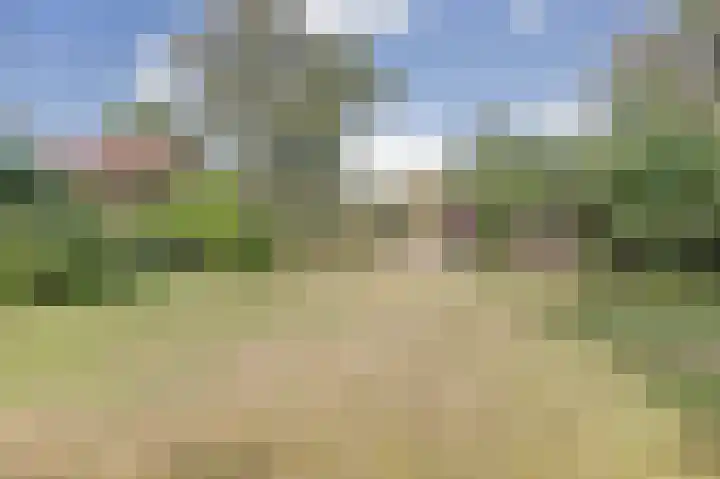 Beemstraat 46 Gameren thumbnail 14