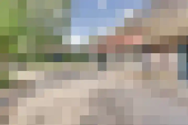 Beemstraat 46 Gameren thumbnail 15