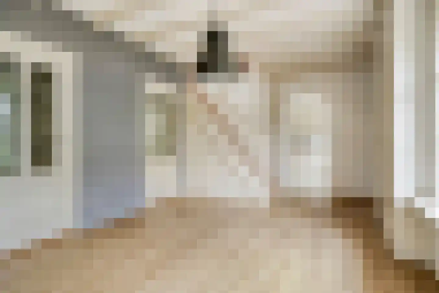 Beemstraat 46 Gameren thumbnail 15