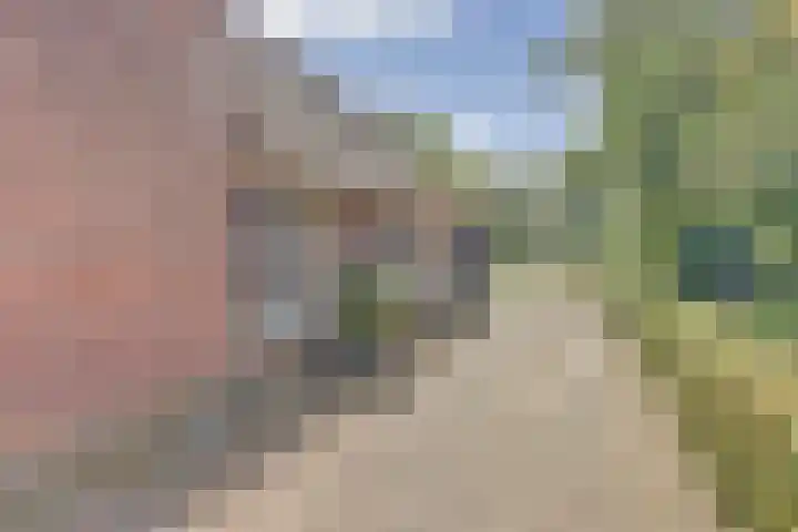 Beemstraat 46 Gameren thumbnail 16