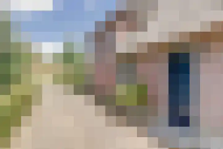 Beemstraat 46 Gameren thumbnail 17
