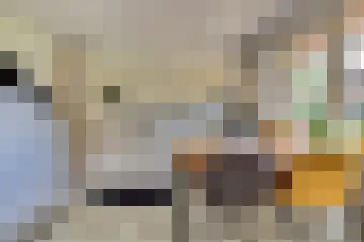 Beemstraat 46 Gameren thumbnail 25