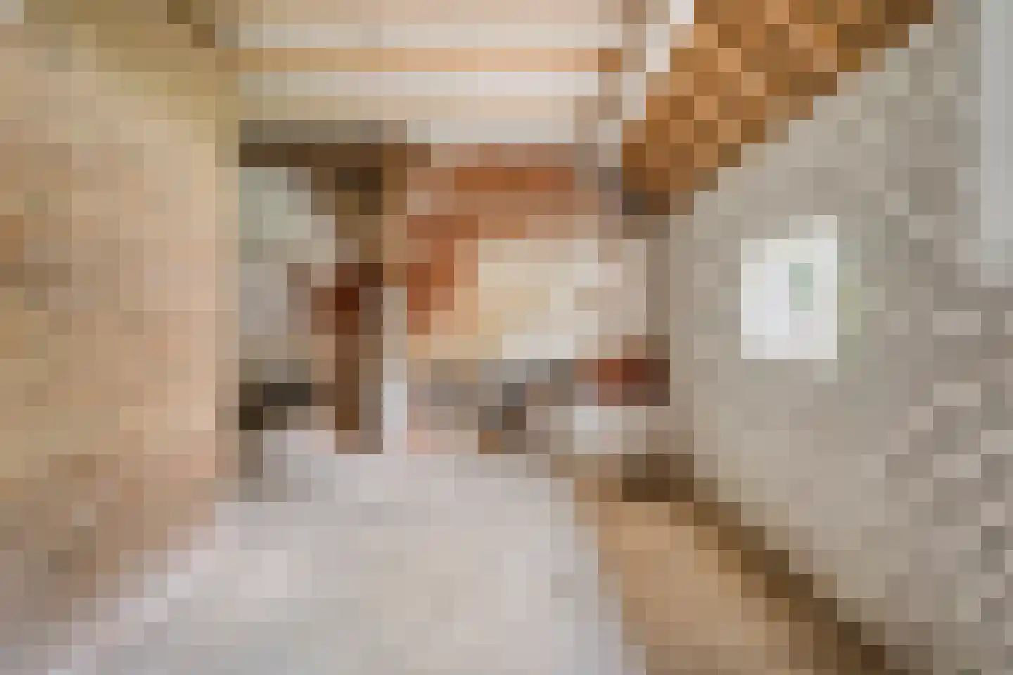 Beemstraat 46 Gameren thumbnail 30