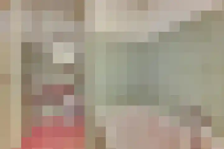 Beemstraat 46 Gameren thumbnail 33