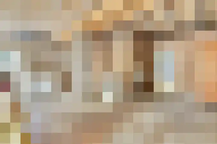 Beemstraat 46 Gameren thumbnail 38
