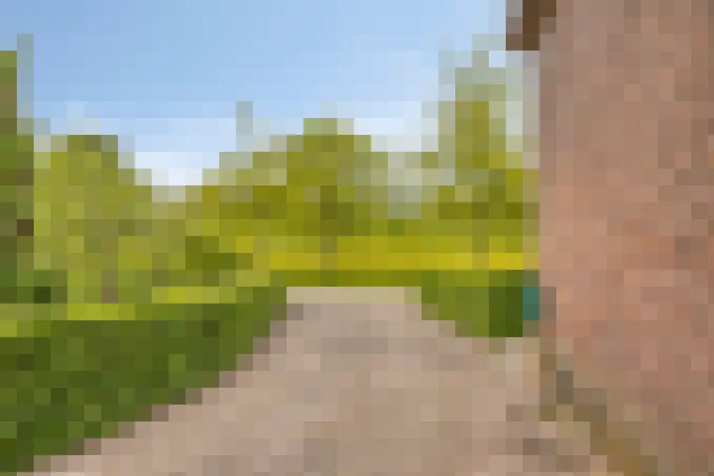 Beemstraat 46 Gameren thumbnail 40
