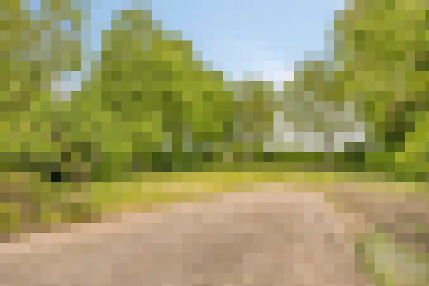 Beemstraat 46 Gameren thumbnail 41