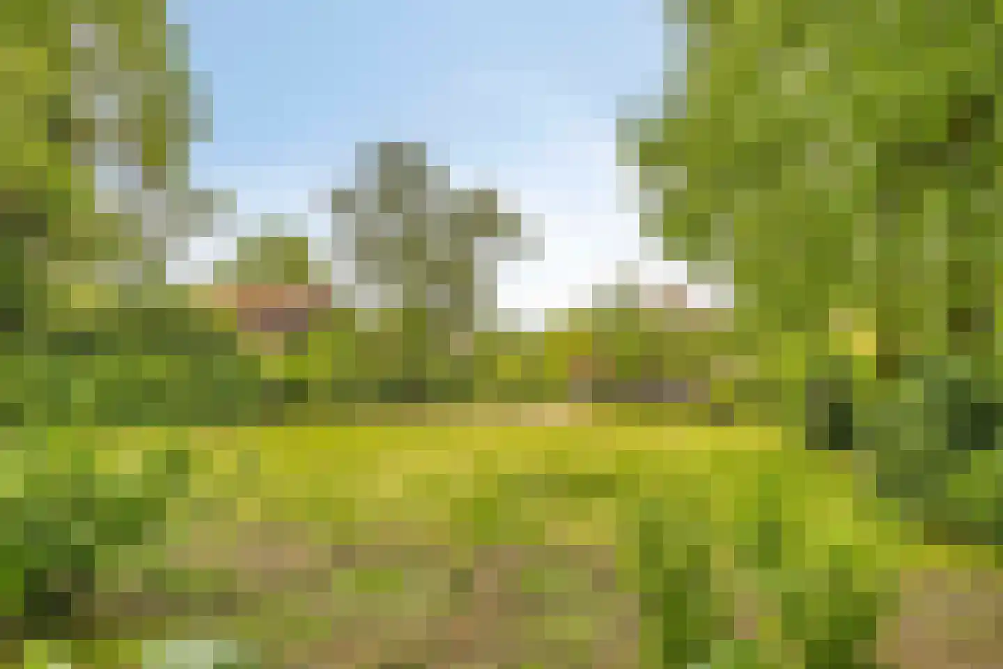 Beemstraat 46 Gameren thumbnail 43