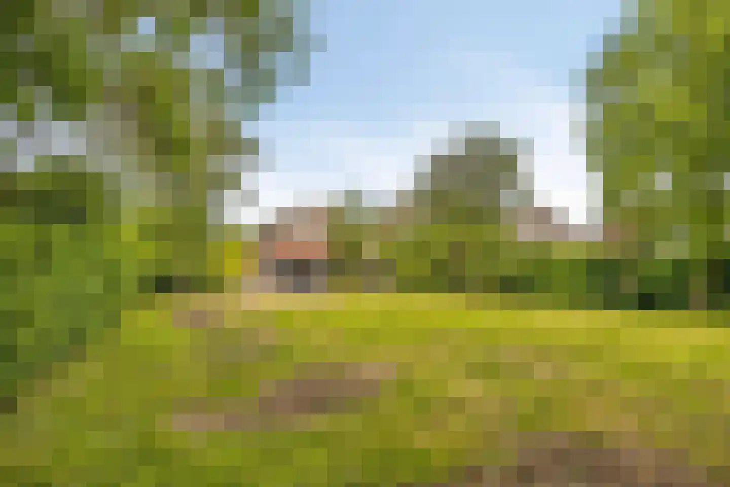 Beemstraat 46 Gameren thumbnail 44