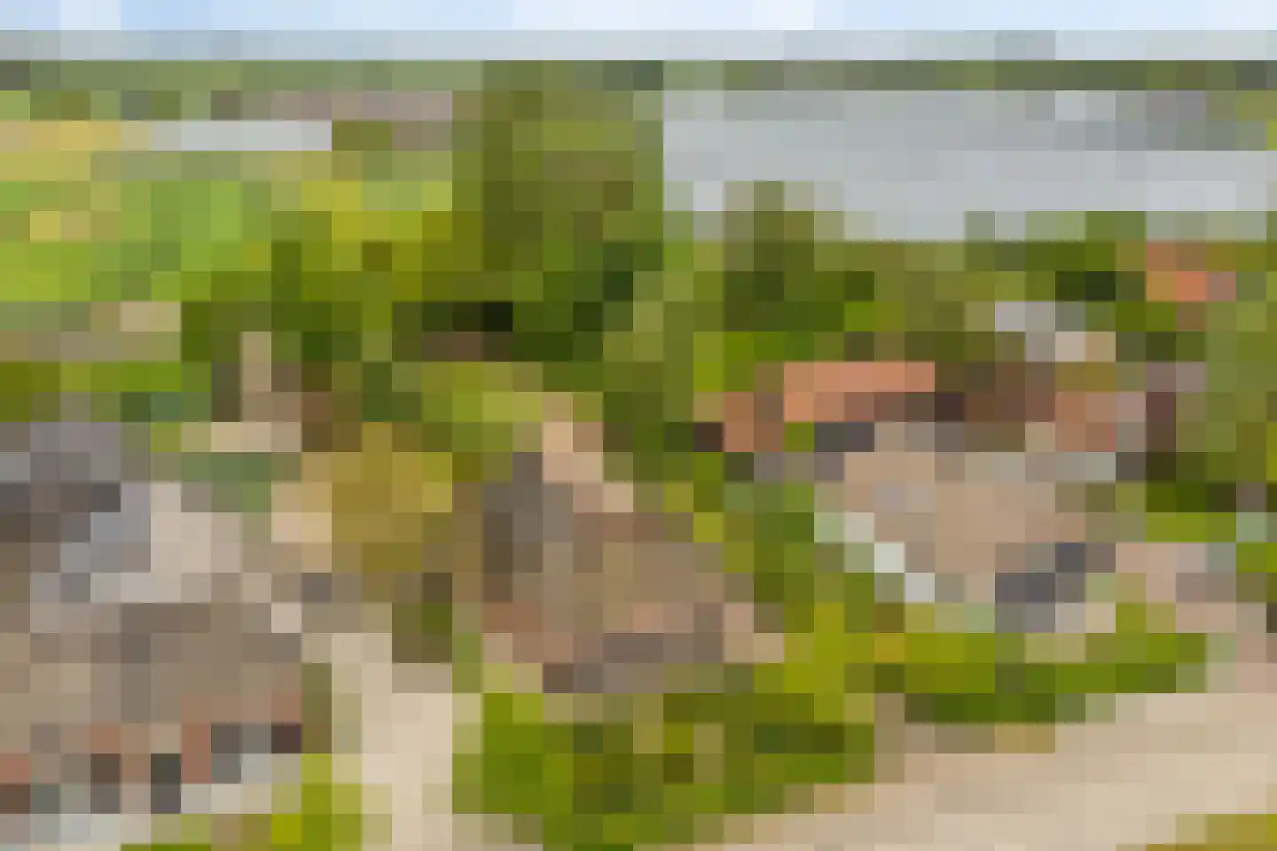Beemstraat 46 Gameren thumbnail 47