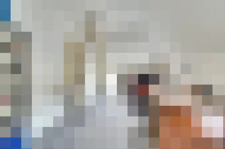 Beemstraat 46 Gameren thumbnail 48