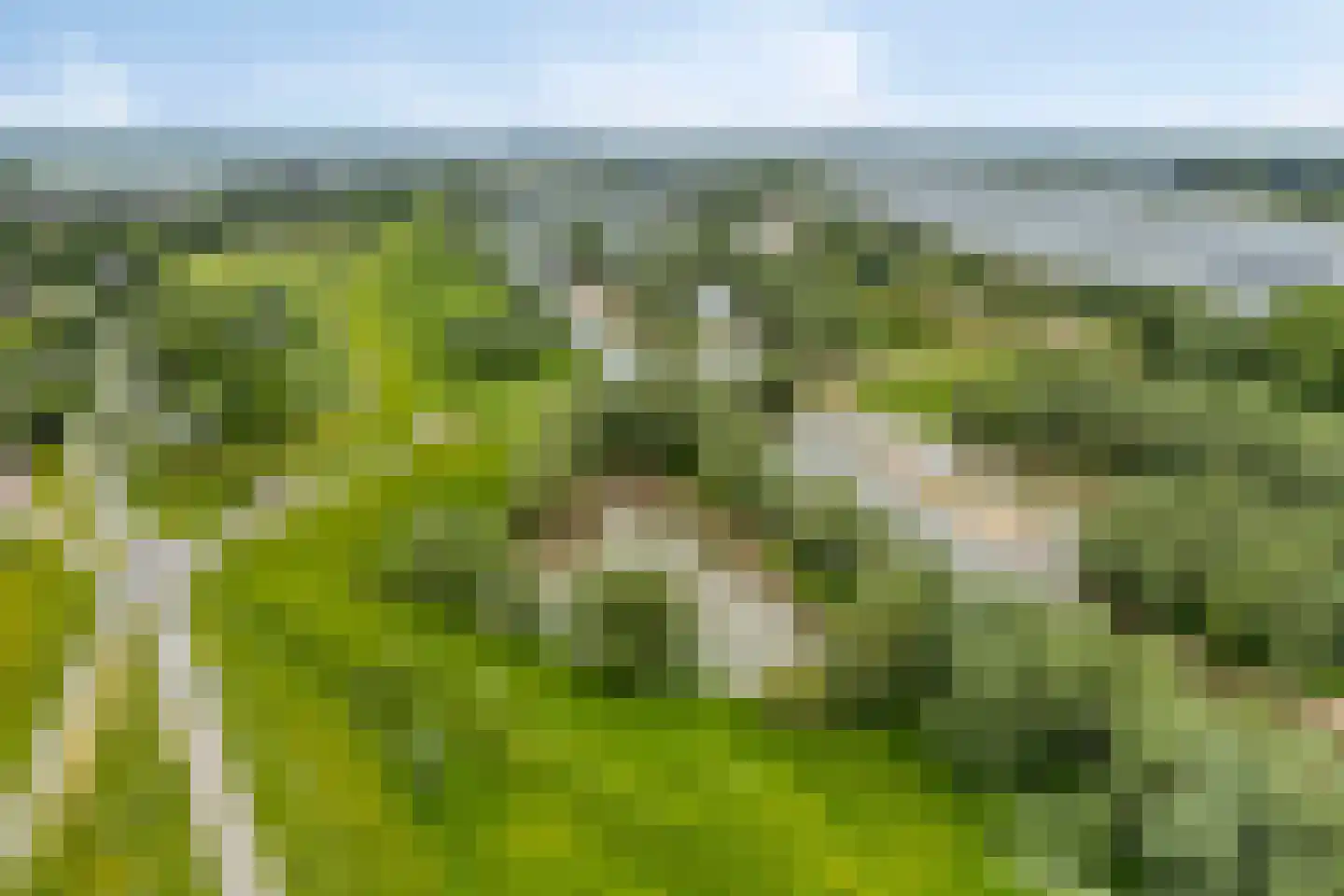 Beemstraat 46 Gameren thumbnail 49