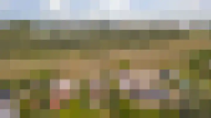 Beemstraat 46 Gameren thumbnail 5