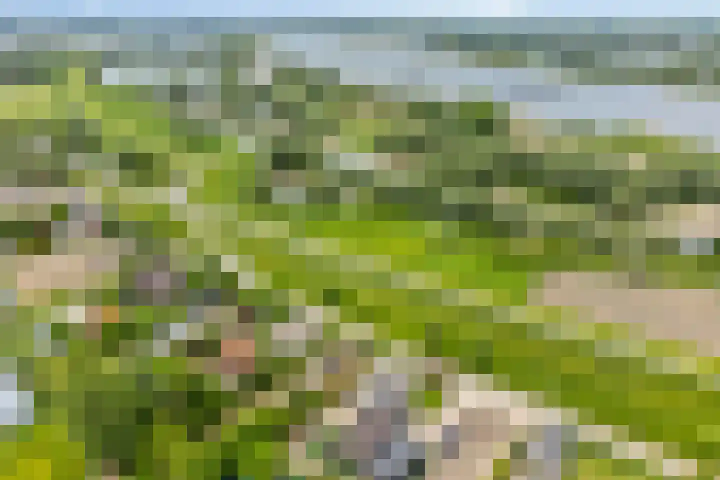 Beemstraat 46 Gameren thumbnail 5