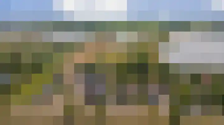 Beemstraat 46 Gameren thumbnail 53