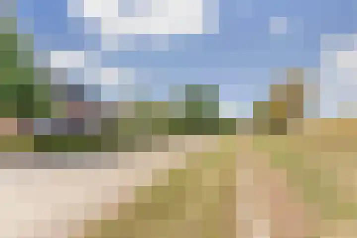 Beemstraat 46 Gameren thumbnail 7
