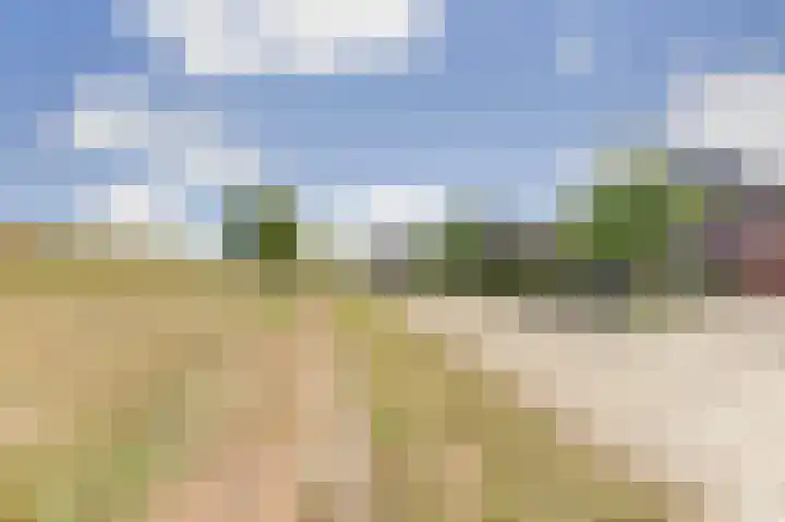 Beemstraat 46 Gameren thumbnail 8