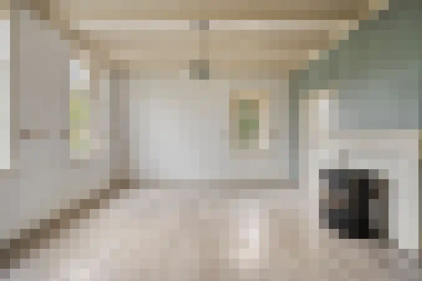 Beemstraat 46 Gameren thumbnail 9
