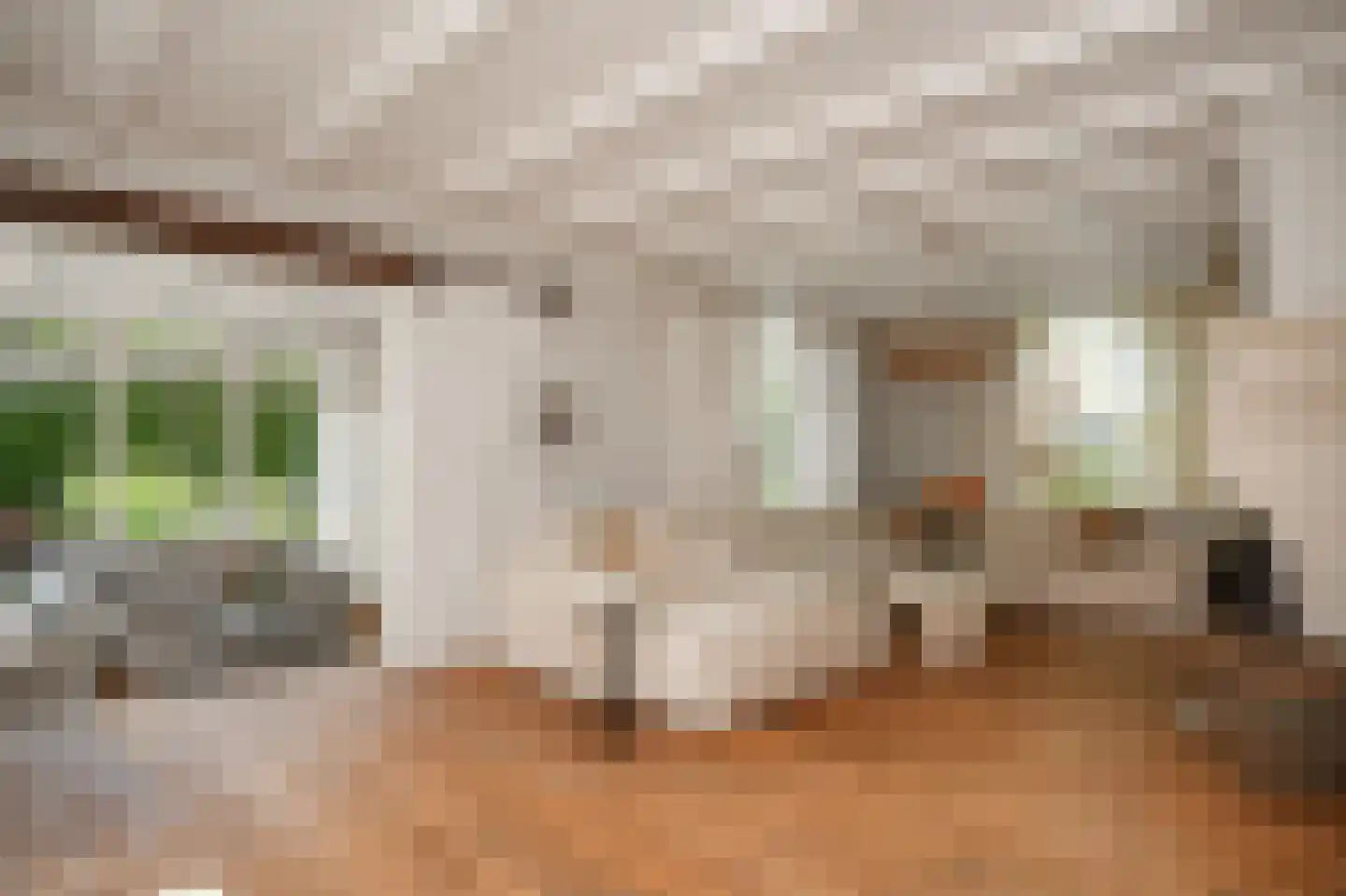 Beemstraat 9 Nieuwaal thumbnail 10
