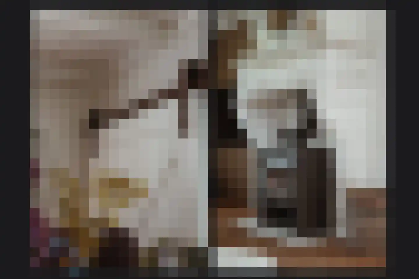 Beemstraat 9 Nieuwaal thumbnail 11