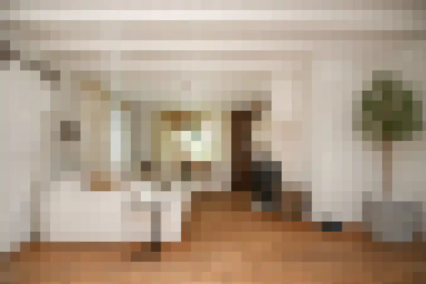 Beemstraat 9 Nieuwaal thumbnail 12