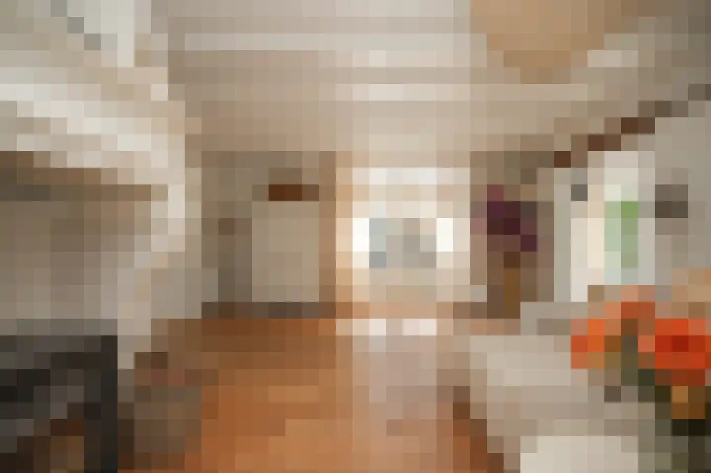 Beemstraat 9 Nieuwaal thumbnail 13