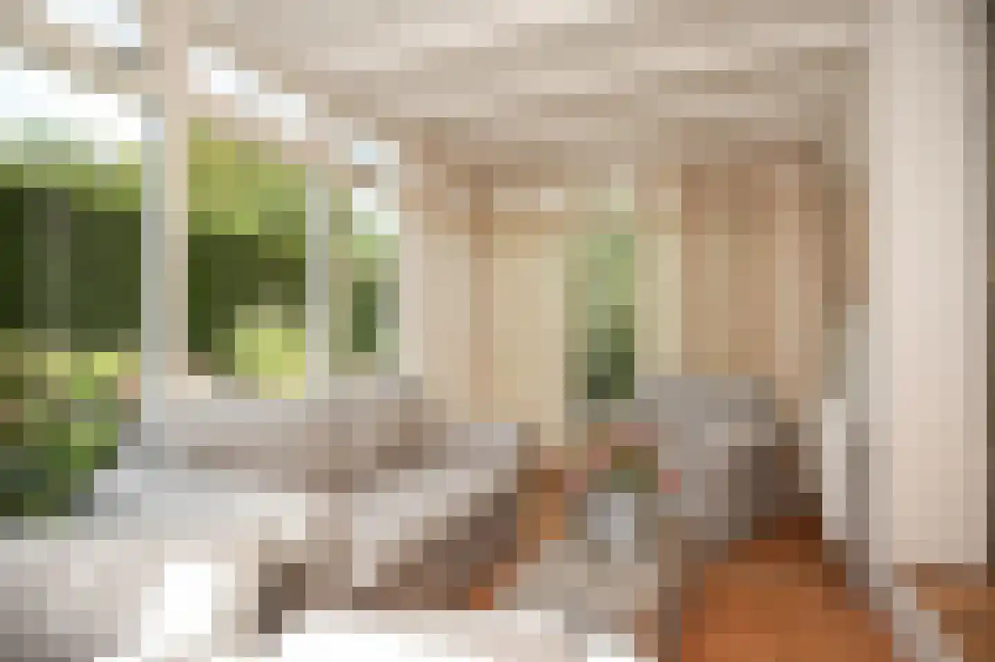 Beemstraat 9 Nieuwaal thumbnail 16