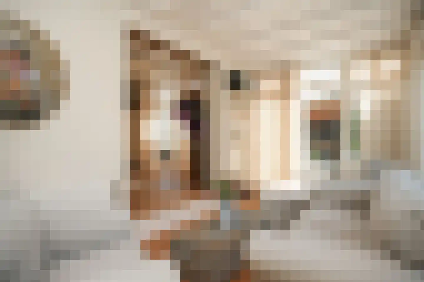 Beemstraat 9 Nieuwaal thumbnail 17
